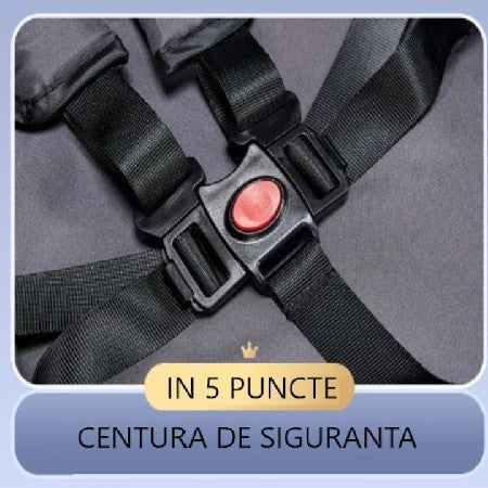 Căruț pentru bebeluși At Performance, pliabil, ușor, cu șezut reglabil și funcție sport, 6-36 luni ROZ PUDRA